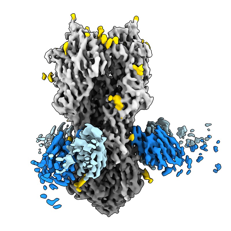 Cryo-EM structure of NI04359_d30_240 Fab in complex with influenza virus hemagglutinin from A/Hong Kong/485197/2014 (H3N2)